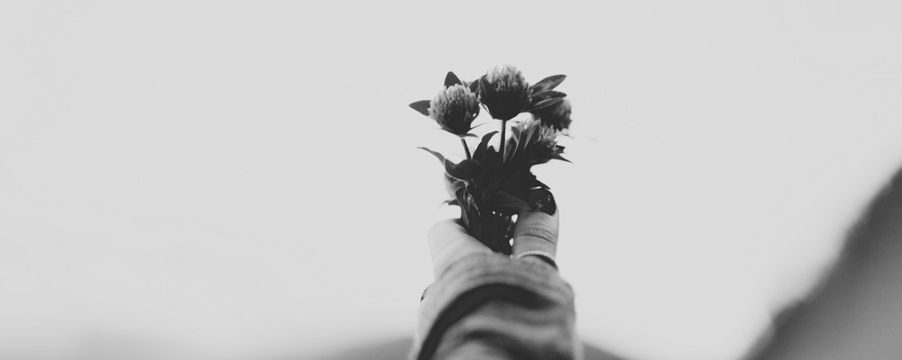 black and white hand holding flowers jpeg