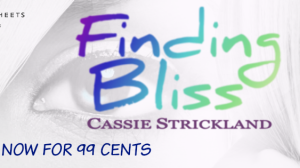 Blitz! Excerpt & Giveaway Finding Bliss by Cassie Strickland